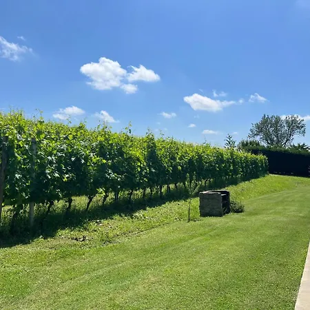 Vigne Dei Mastri Apartament *