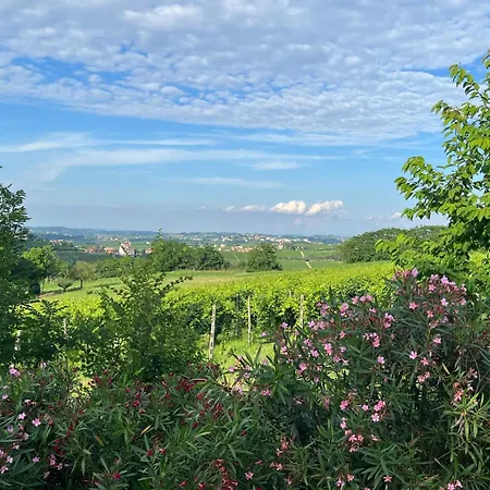 Apartament Vigne Dei Mastri Costigliole d'Asti